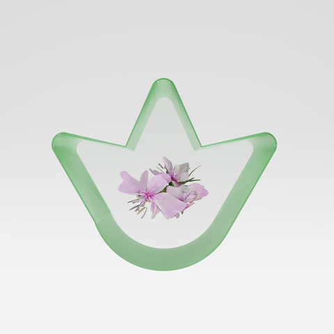 Organic Swiss epilobium plant